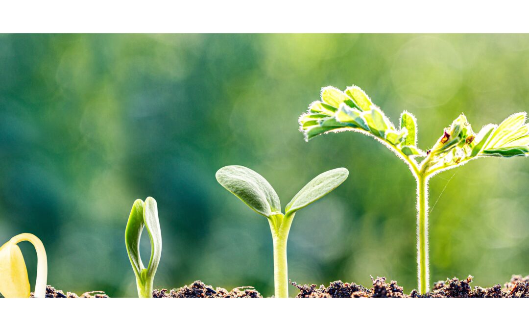 The Real Reason Your Business Isn’t Growing